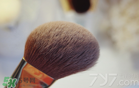 受受狼是哪個(gè)國(guó)家的？受受狼化妝刷推薦