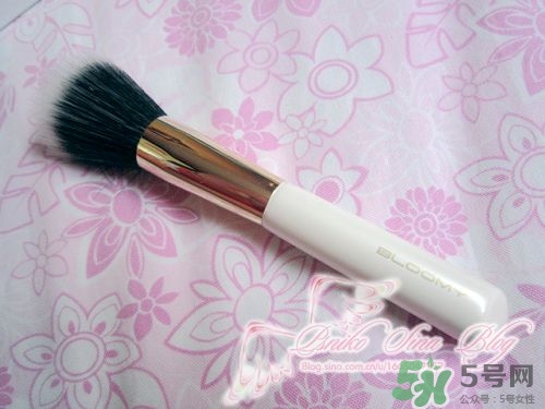 bloomy老爺家化妝刷哪款好？bloomy化妝刷推薦
