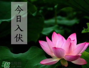 2017年頭伏是哪一天？2017年什么時(shí)候入伏？