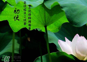 2017年頭伏是哪一天？2017年什么時(shí)候入伏？