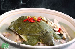 懷孕初期能吃甲魚嗎？懷孕初期可以吃甲魚嗎？