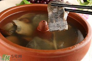懷孕初期能吃甲魚嗎？懷孕初期可以吃甲魚嗎？