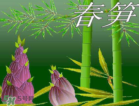 春筍多少錢一斤？春筍多少錢一斤2017？