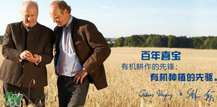 喜寶米粉怎么樣？喜寶米粉如何？