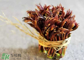 香椿幾月份可以吃？香椿什么時候吃？