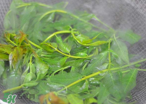香椿為什么要焯水？香椿怎么焯水？