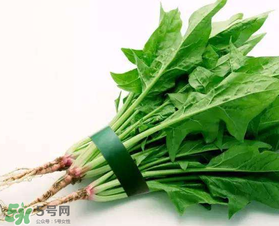 孕婦可以吃菠菜嗎？孕婦菠菜吃多了會(huì)怎樣？