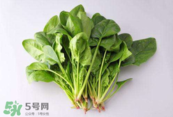 孕婦可以吃菠菜嗎？孕婦菠菜吃多了會(huì)怎樣？