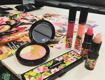 mac2017夏季fruity juicy系列有哪些？