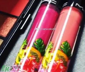 mac2017夏季fruity juicy系列有哪些？