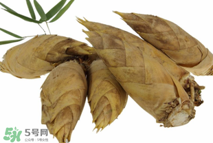 竹筍什么時候長出來？竹筍幾月份長出來？