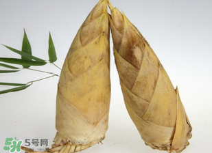 竹筍什么時候長出來？竹筍幾月份長出來？