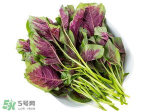 孕婦能吃莧菜嗎？孕婦可以吃莧菜嗎？