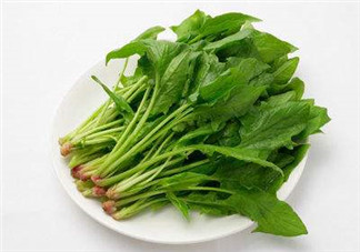 孕婦可以吃菠菜嗎？孕婦菠菜吃多了會怎樣？