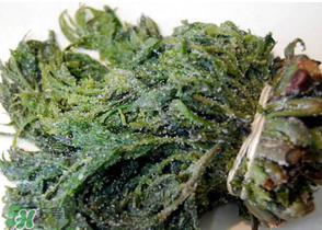 香椿腌制多久可以吃？香椿腌多長時間能吃？