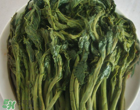 香椿腌制多久可以吃？香椿腌多長時間能吃？