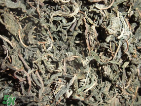 香椿可以曬干嗎？香椿怎么曬干？