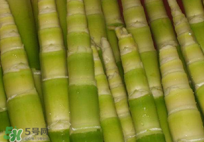 竹筍不焯水有毒嗎？竹筍不過水能吃嗎？