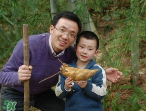竹筍什么時(shí)候挖？竹筍幾月挖？