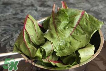 甜菜葉是否可以生吃？甜菜葉可以生吃嗎