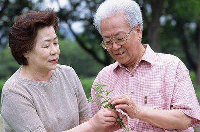 高血脂能不能吃雞蛋？血脂高可以吃雞蛋嗎
