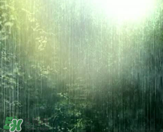 四月份會(huì)一直下雨嗎？2017年四月份為什么一直下雨？