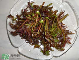 涼拌香椿要過水嗎？香椿涼拌前需要用開水焯一下嗎？