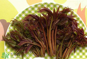 香椿芽可以冷凍嗎？香椿芽怎么冷凍？