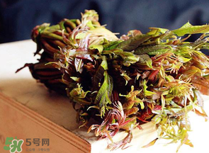 香椿很貴嗎？香椿為什么那么貴？
