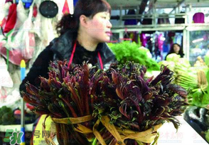 香椿很貴嗎？香椿為什么那么貴？