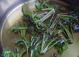 香椿為什么要用開水燙？香椿用開水燙多久？