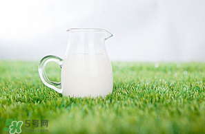 香椿可以和牛奶一起吃嗎？香椿和牛奶能一起吃嗎？