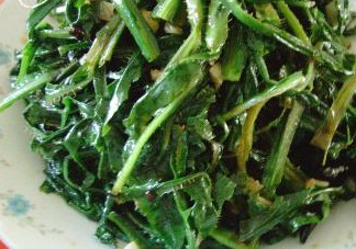苦苦菜是什么菜？苦苦菜是苦苣嗎