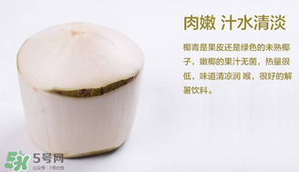 孕婦能不能喝椰青？椰青孕婦能喝嗎？