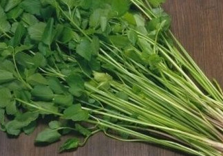 水芹菜是什么菜？水芹菜是野芹菜嗎