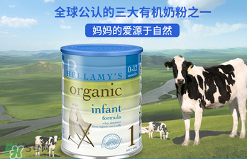 貝拉米奶粉報(bào)價(jià)多少？貝拉米奶粉價(jià)格多少？