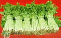 水芹菜怎么吃？水芹菜的做法