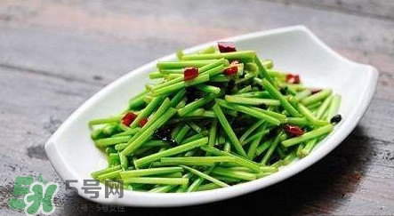 水芹菜孕婦能吃嗎？懷孕的人可以吃水芹菜嗎