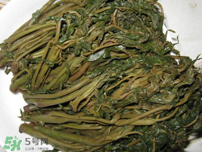腌香椿要燙嗎？香椿腌之前用不用開水燙？