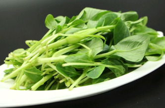 雞毛菜是什么菜？雞毛菜是小白菜嗎
