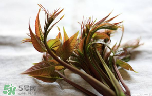 香椿怎么洗？香椿芽怎么洗干凈？
