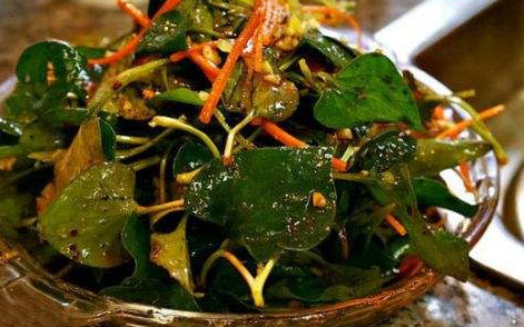 魚腥草根和葉哪個好？魚腥草根好還是葉子好