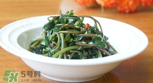 馬莧菜怎么吃？馬莧菜怎么做好吃