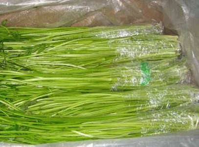 水芹菜如何保鮮？水芹菜怎么保鮮