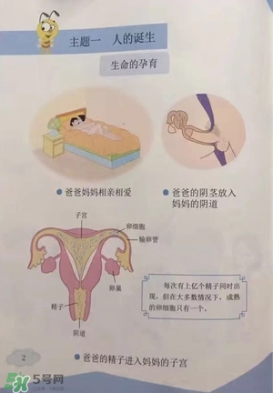 孩子瀏覽成人網(wǎng)站怎么辦？小學(xué)性教育有沒(méi)有必要？