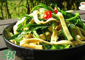 水芹菜的葉子可以吃嗎？水芹菜葉子能吃嗎