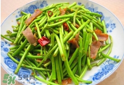 藜蒿葉子能吃嗎？藜蒿葉子可以吃嗎