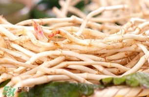 新鮮魚腥草怎么煮水？魚腥草怎么煮水喝