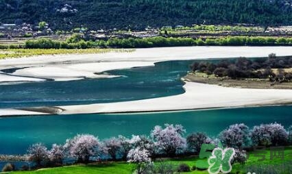 四月份去哪里旅游比較好？四月份最適合旅游的地方