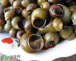 田螺可以?xún)艋|(zhì)嗎？田螺能凈化水質(zhì)嗎？